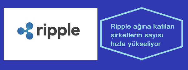 Ripple Ağı