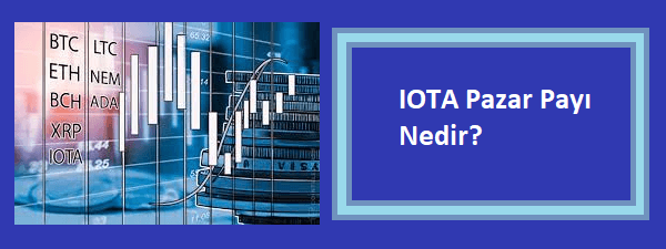 iota pazar payı