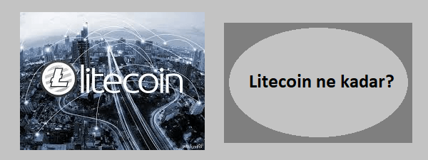 litecoin ne kadar